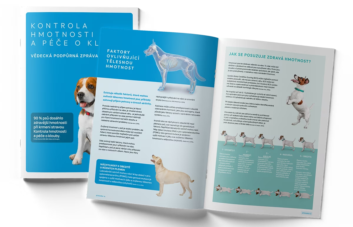 Weight-Management-Technical-Guide